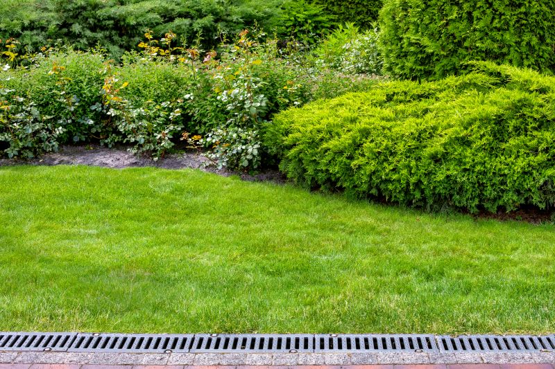 Drainage Solutions for Flat Lawns