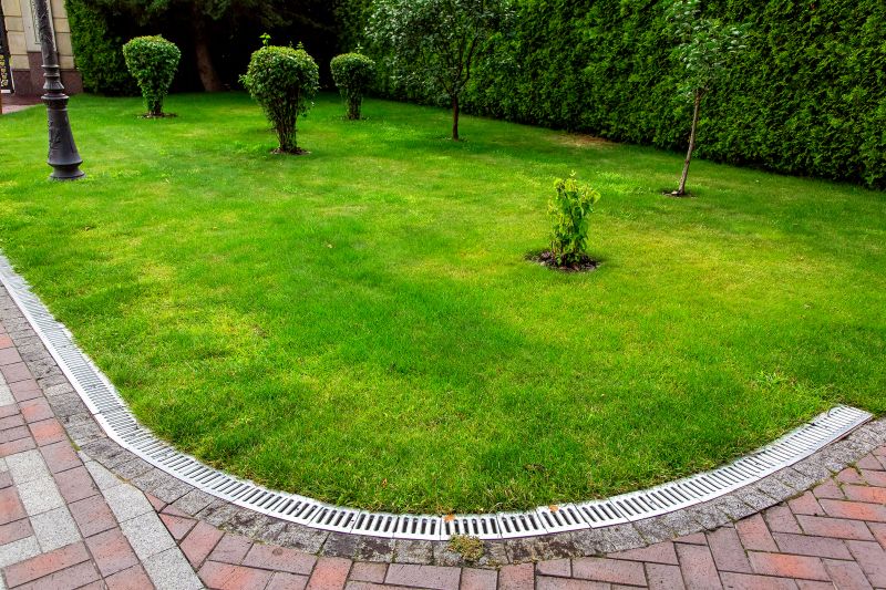 Lawn Drainage Solutions & Promotions